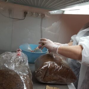 Gombatermesztési szaktudás